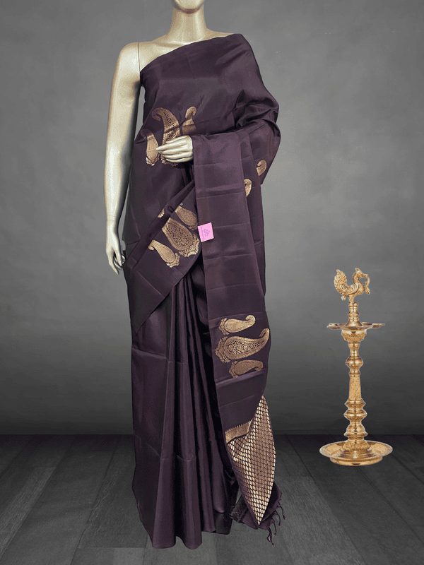 Sankeerthana - Paisley Beauty in our Exclusives 8030 Sankeerthana - Paisley Beauty in our Exclusives 8030