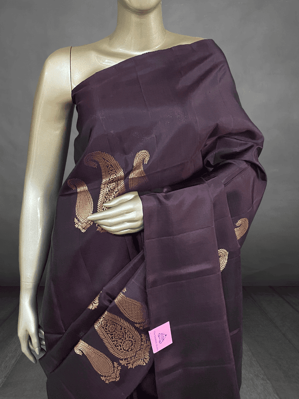 Sankeerthana - Paisley Beauty in our Exclusives 8030 Sankeerthana - Paisley Beauty in our Exclusives 8030
