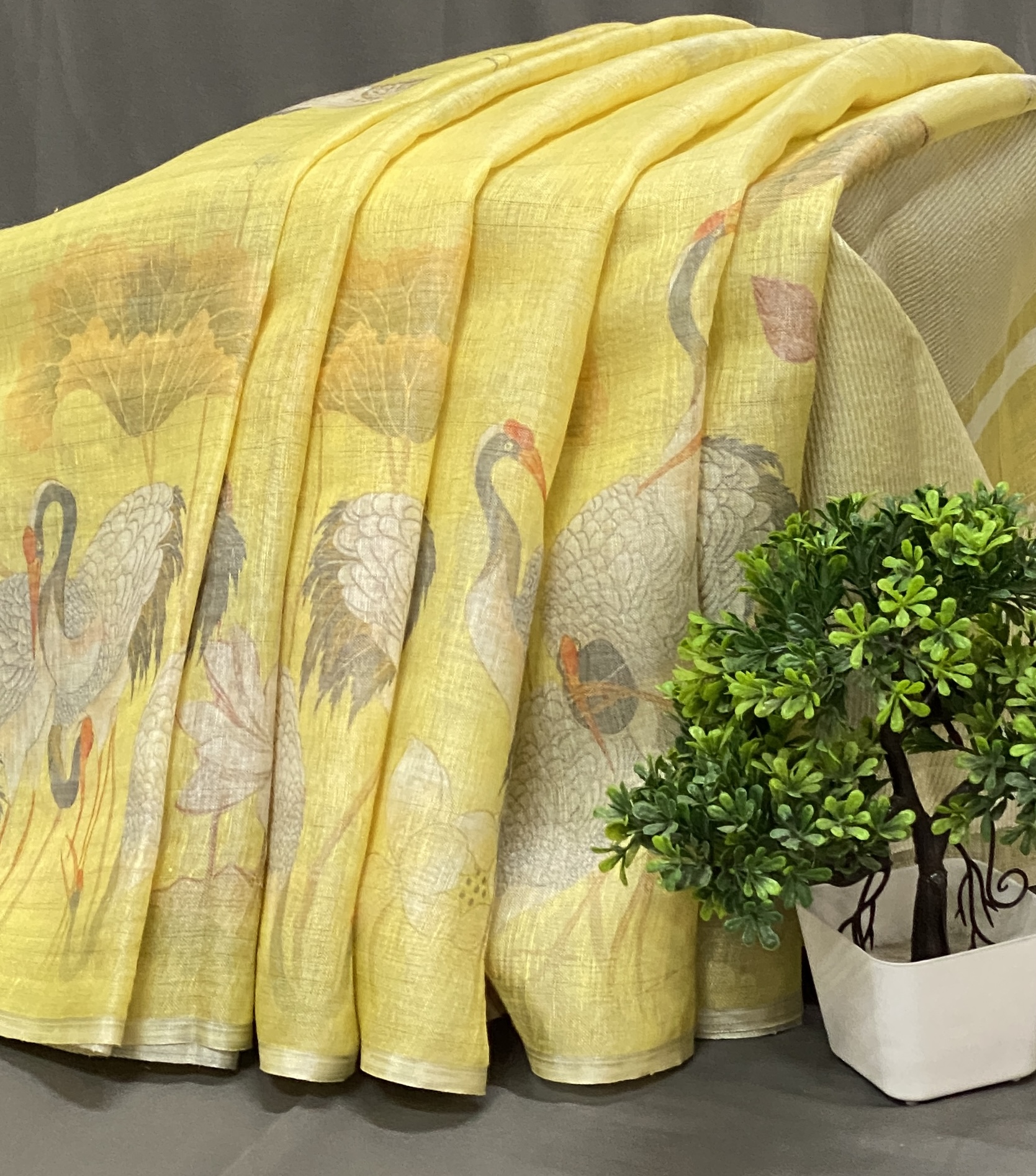 Rishika - The Linen Tissue Saree 19319